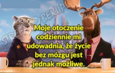 Moje otoczenie