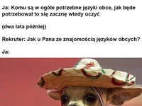 Jak u pana ze znajomością języków obcych?