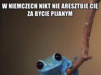 Przydałoby się