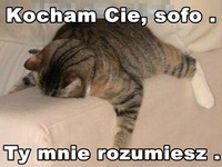 Kocham Cie, sofo.