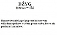 Definicja słowa DŹYG :D