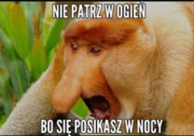 Nie patrz