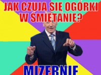 Jak czują się ogórki w śmietanie? :)