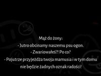 Nie zgadniesz po co gość chciał obciąć psu ogon :D