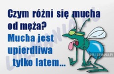 Czym sie różni