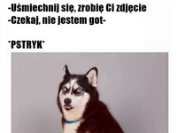 Zrobił mu zdjęcie