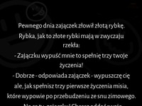 Mega kawał o zajączku i niedźwiedziu, który obudził się z zimowego snu i jeszcze nie wie co go czeka :D