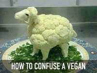 koszmar dla vegan