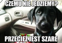 Przecież jest szare