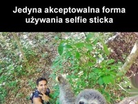 selfiestick