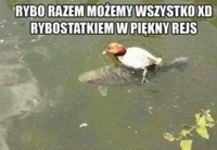 razem możemy wszystko