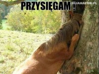 Przysięgam :)