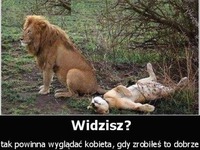 Widzisz