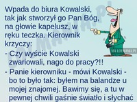 Kowalski wbiega do biura NAGO! Zobacz jak się tłumaczył HAHA