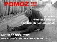Pan mietek