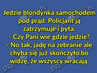 BLONDYNKA jak zawsze... HAHA BEKA!