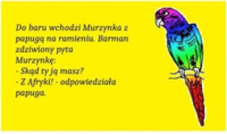 Do baru wchodzi Murzynka z papugą na ramieniu :D