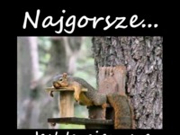 Najgorsze...