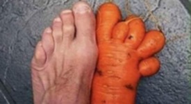 Jestem vege!