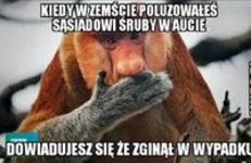 przypał