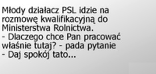 Młody działacz PSL idzie na rozmowę kwalifikacyjną do Ministerstwa Rolnictwa :D