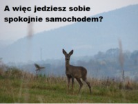 Byłoby smutno...