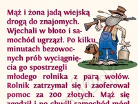 Rolnik wpadł na świetny pomysł! Interes idealny!