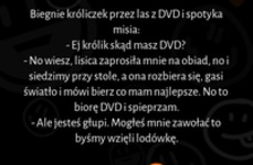 Biegnie króliczek przez las z DVD i spotyka misia :D