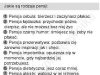 Sprawdź jakie są rodzaje pensji! 4 NAJLEPSZA! :D