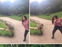 No, no, no chciało się mieć ładne selfie z małpką xD Małpa wygrała!