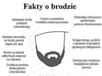 Najlepsze fakty o brodzie! ZOBCZ czy warto zapuszczać :D