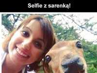 Selfie z sarenką