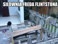 Siłownia Freda