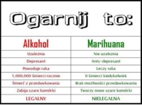 Alkohol vs. Marihuana