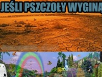 ludzie i pszczoły