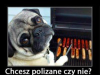 Polizane czy nie :D