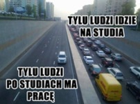 Praca po studiach