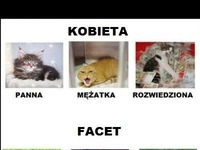 Stan cywilny KOBIETA vs FACET! DOBRE :D