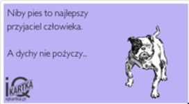Najlepszy przyjaciel