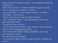 Mózg zrobił naradę i zebrał wszystkie organy. Postanowili pozbyć się jednego z nich... Na kogo wypadło? :D