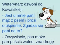 Weterynarz dzwoni do kobiety, a ona... LOL! DOBRE!