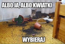 WYBIERAJ