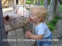 zoofil