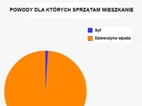 Sprzątam mieszkanie