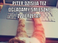 Piter dzisiaj...