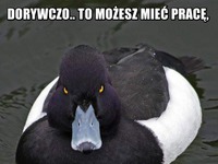 Dorywczo.