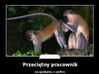 Przeciętny pracownik :-)