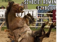 Szybciej Roman, szybciej!