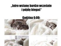 dzień jak codzień