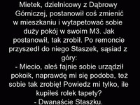 Mietek Dzielnicowy radzi kumplowi jak wytapetowac mieszkanie. Nieźle XD